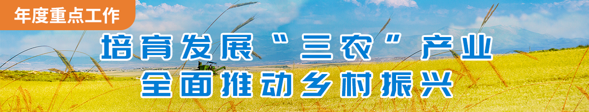 培育發(fā)展“三農(nóng)”產(chǎn)業(yè)，全面推動(dòng)鄉(xiāng)村振興